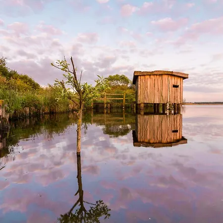 Ferienwohnung Hohner Seeblick Hohn  Eksteriør billede
