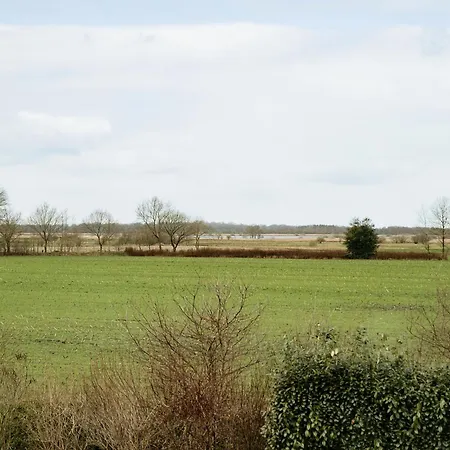 Ferienwohnung Hohner Seeblick Hohn  Eksteriør billede
